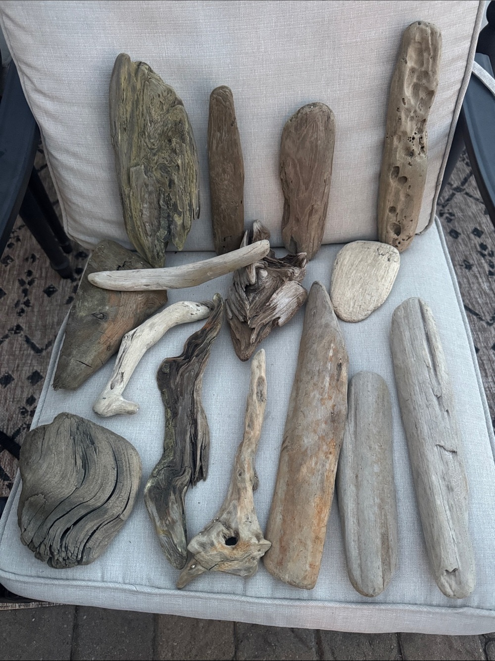 Natural Pacific Northwest Collected Beach Driftwood Decorative Accents 15 pcs